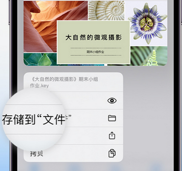 兴义apple维修中心分享iPhone文件应用中存储和找到下载文件