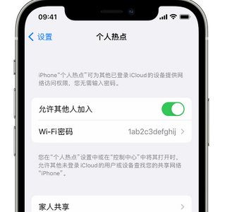 兴义apple服务站点分享iPhone上个人热点丢失了怎么办