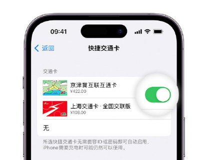 兴义apple维修点分享iPhone上更换Apple Pay快捷交通卡手绘卡面 