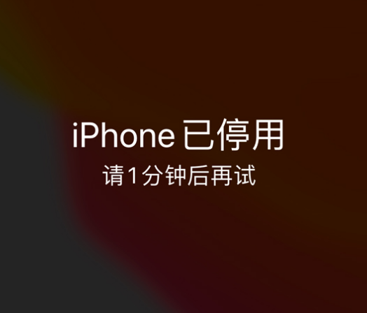 兴义苹果手机维修分享:iPhone 显示“不可用”或“已停用”怎么办？还能保留数据吗？ 