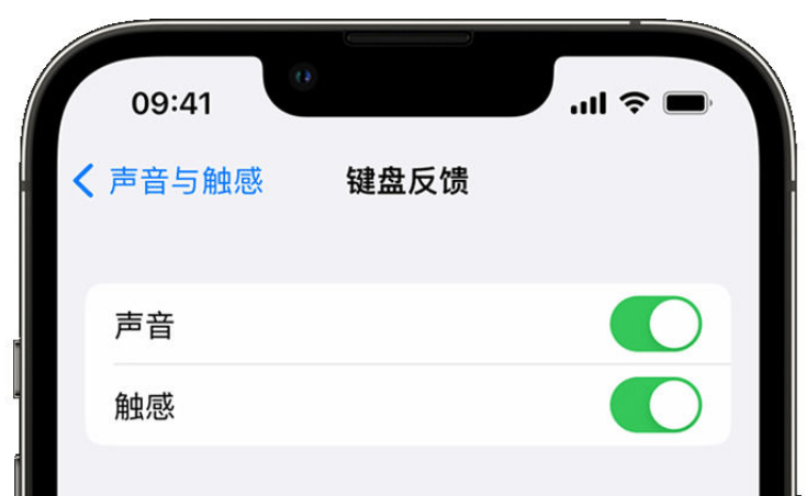 兴义苹果手机维修分享iPhone 14触感键盘使用方法 