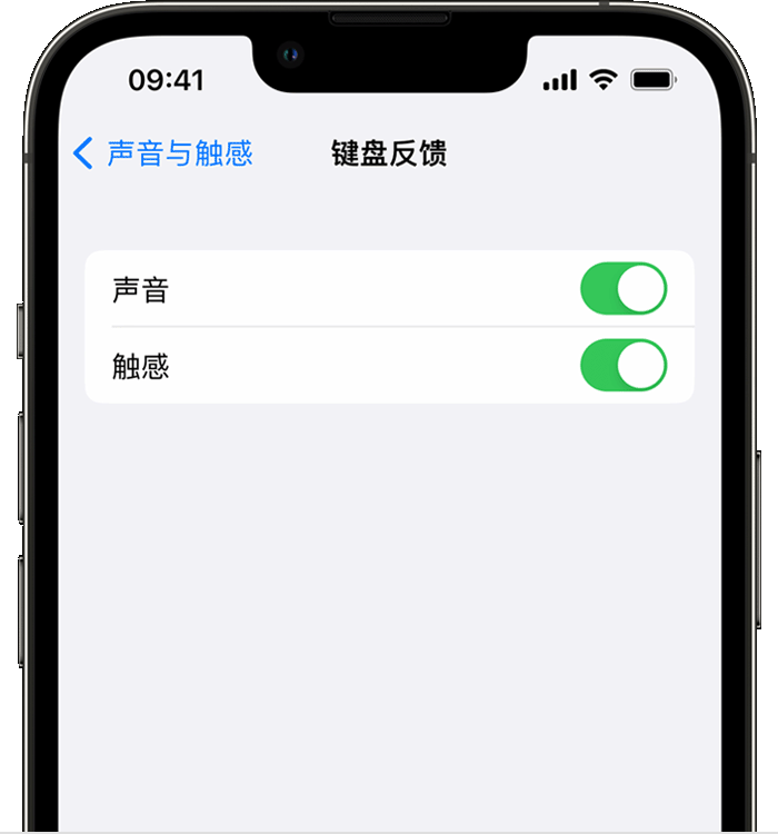 兴义苹果14维修店分享如何在 iPhone 14 机型中使用触感键盘 