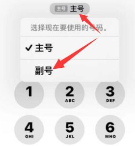 兴义苹果14维修店分享iPhone 14 Pro Max使用副卡打电话的方法 