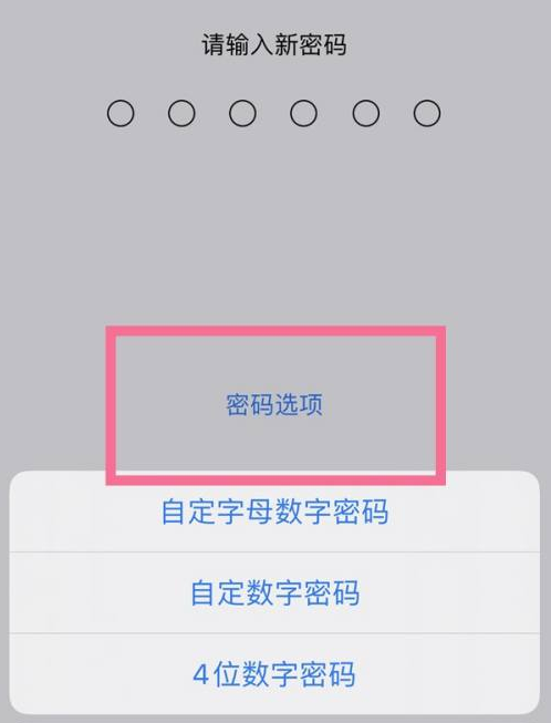 兴义苹果14维修分享iPhone 14plus设置密码的方法 