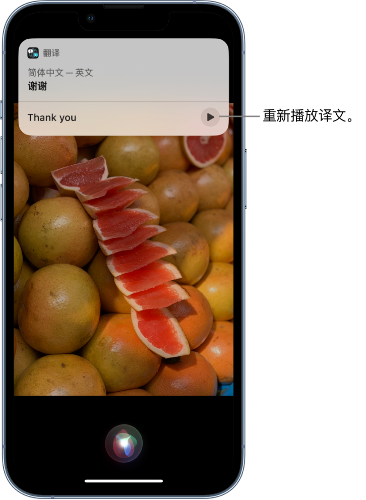 兴义苹果14维修分享 iPhone 14 机型中使用 Siri：了解 Siri 能帮你做什么 