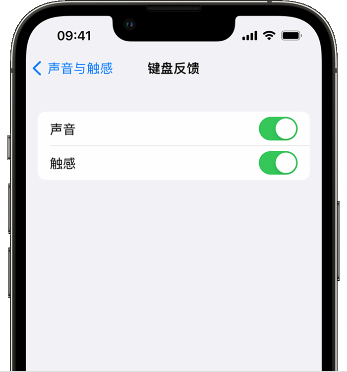 兴义苹果14维修分享iPhone 14 系列机型如何开启键盘声音或触感反馈 