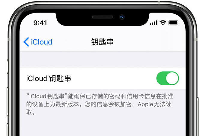 兴义苹果手机维修分享在 iPhone 上开启 iCloud 钥匙串之后会储存哪些信息 