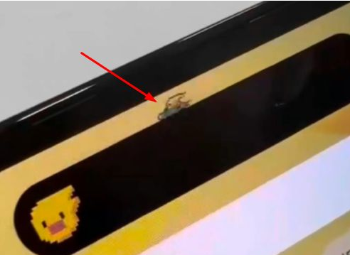 兴义苹果14维修分享iPhone 14 Pro Max灵动岛怎么养宠物 