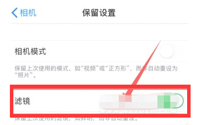 兴义苹果13维修分享iPhone13拍照有绿点是怎么回事 