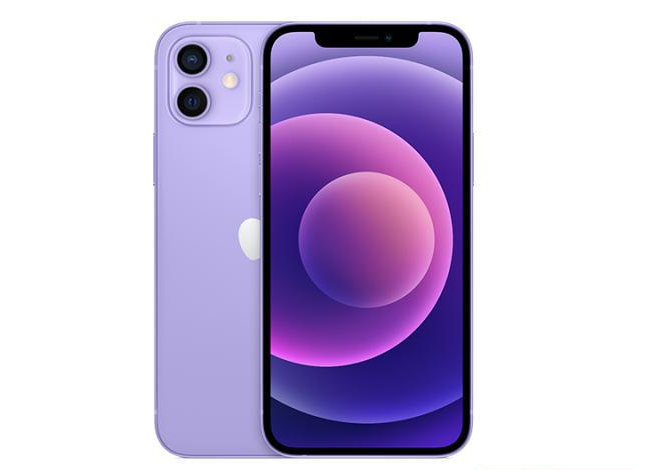 兴义苹果手机维修分享现阶段要不要入手紫色版iPhone12 