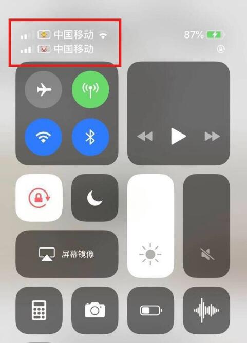 兴义苹果手机维修分享为 iPhone 12 双卡设置标签 